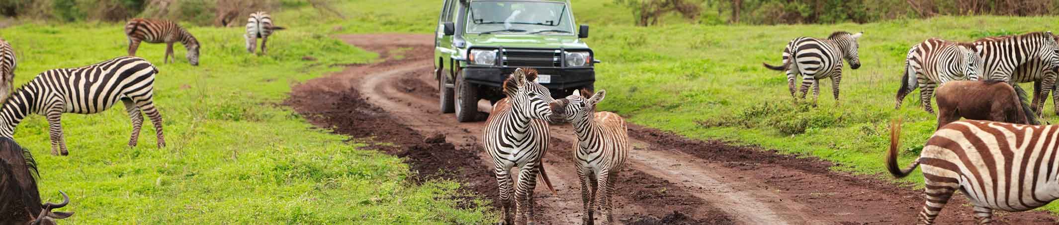טיולים מאורגנים לבוטסואנה