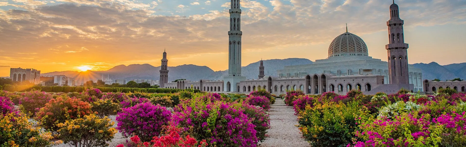 טיולים מאורגנים לעומאן עם איילה גיאוגרפית