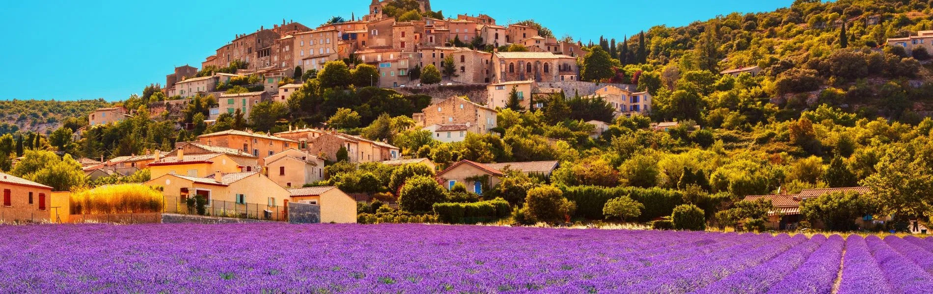 טיולים מאורגנים לצרפת