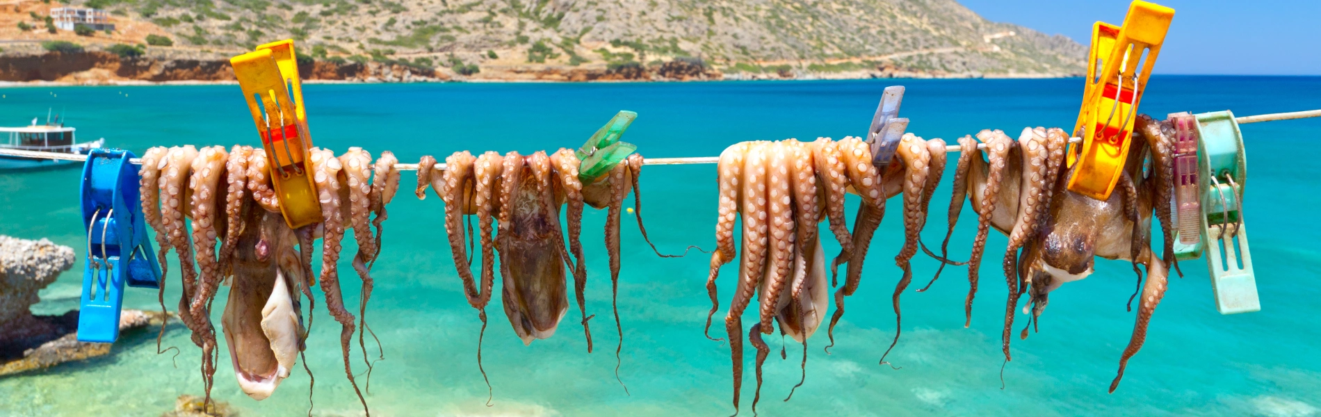 טיול קולינרי ליוון - חוויות טעם לחורף ים תיכוני