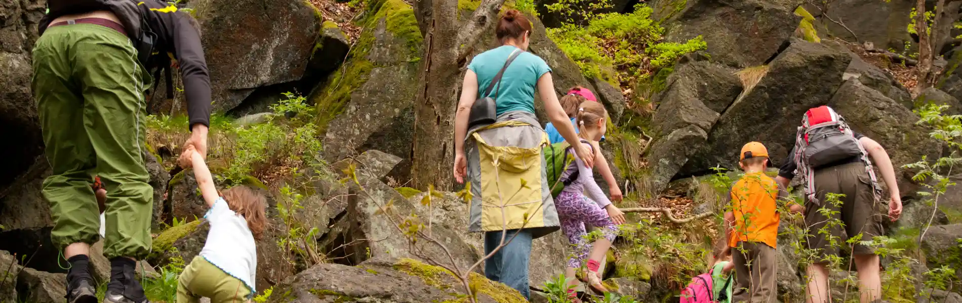 יתרונות של טיול מאורגן על פני טיול עצמאי