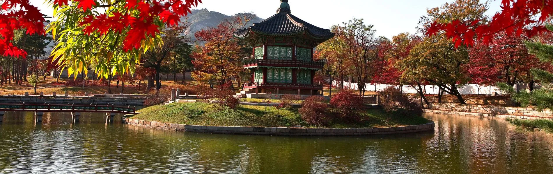 דרום קוריאה בתחילת החורף והסתיו – מה פתוח ומה כדאי