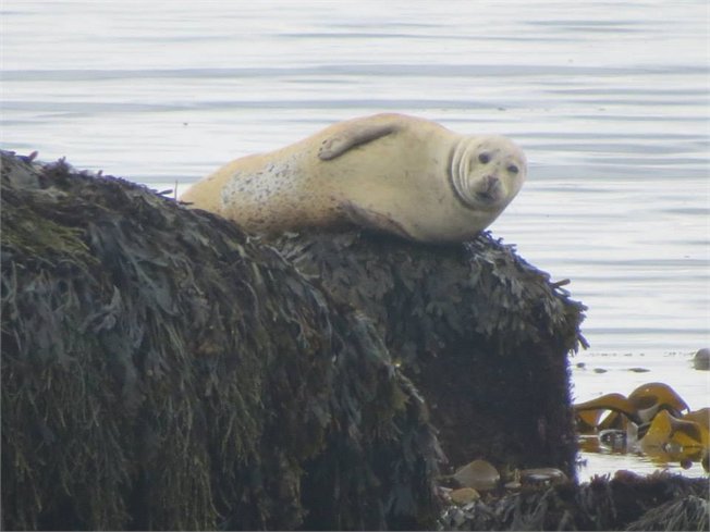 טיולים לאיסלנד