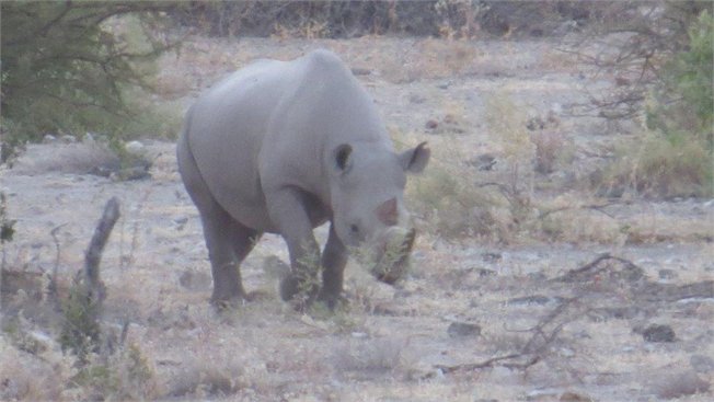 טיול לנמיביה ובוצואנה