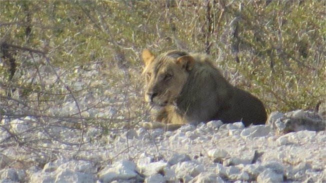 טיולים מאורגנים לנמיביה ובוצואנה