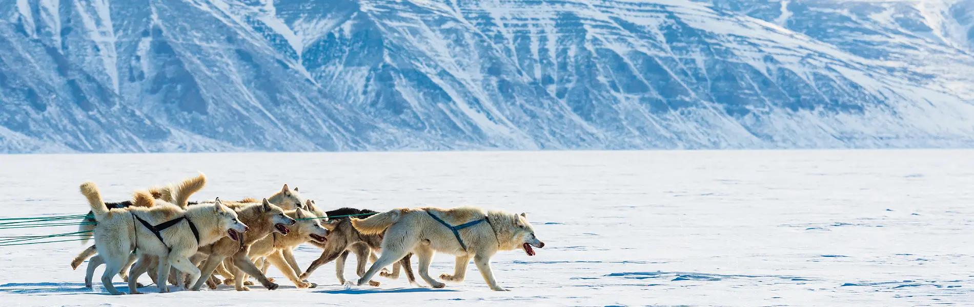 טיול מאורגן לגרינלנד מסע של פעם בחיים, ארץ האינואיטים, 10 ימים