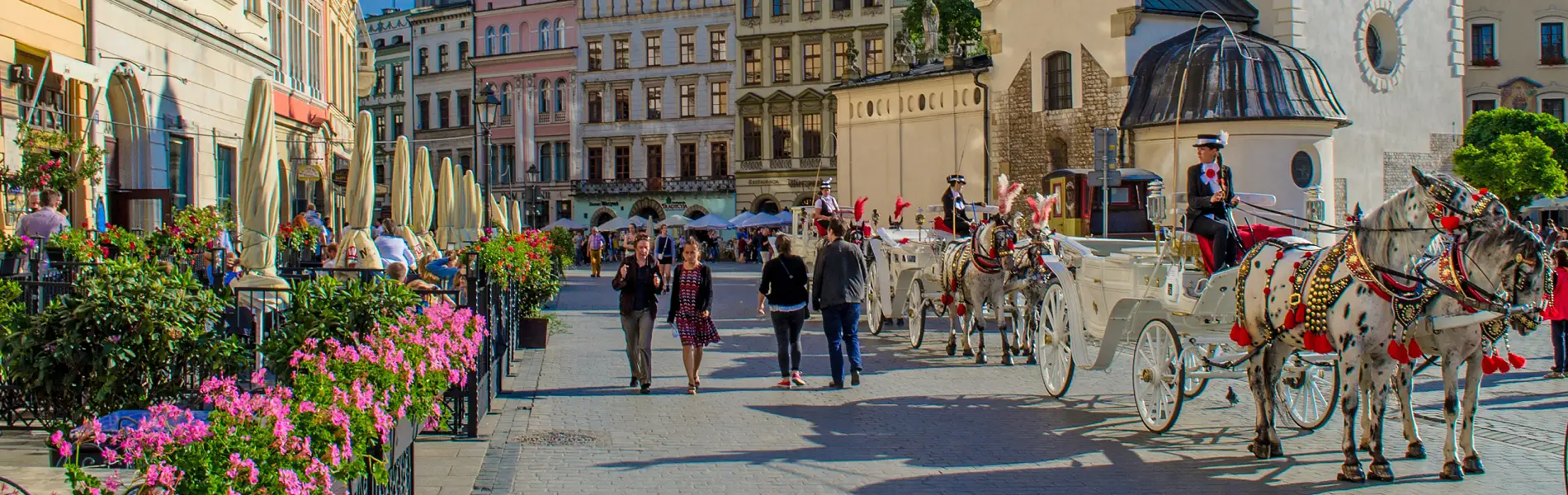 פולין - מקרקוב בדרום לגדנסק בצפון, 11 ימים