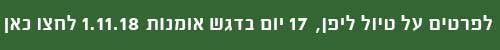 טיול מאורגן ליפן בדגש אומנות