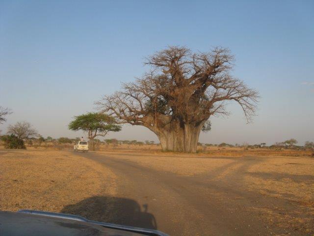 טיולים מאורגנים לטנזניה