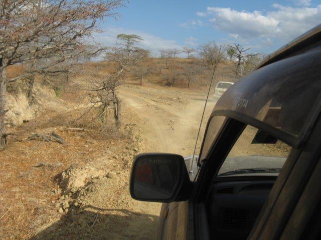 ספארי בטנזניה