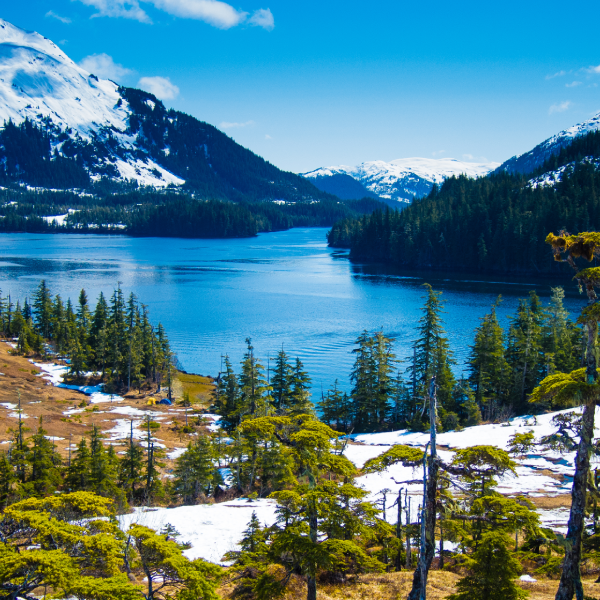 טיול שייט גיאוגרפי לאלסקה – עוצמת הטבע פראי, 10 ימים