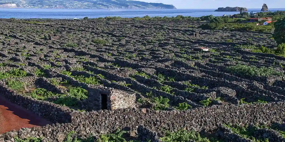 טיול מאורגן למדירה והאיים האזורים
