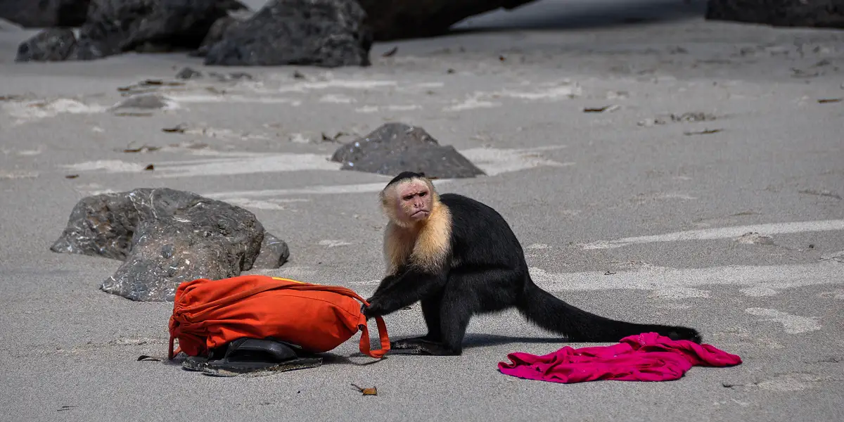 טיול מאורגן לקוסטה ריקה
