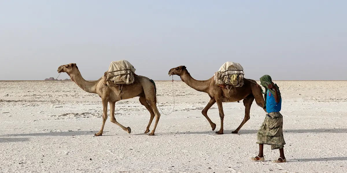 מדבר הדנקיל באתיופיה
