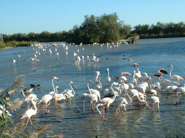 טיול לפרובאנס והדורדון