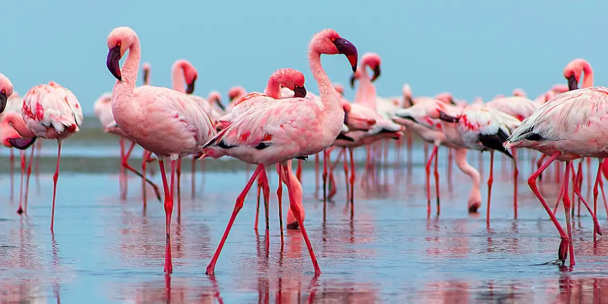 טיול לנמיביה