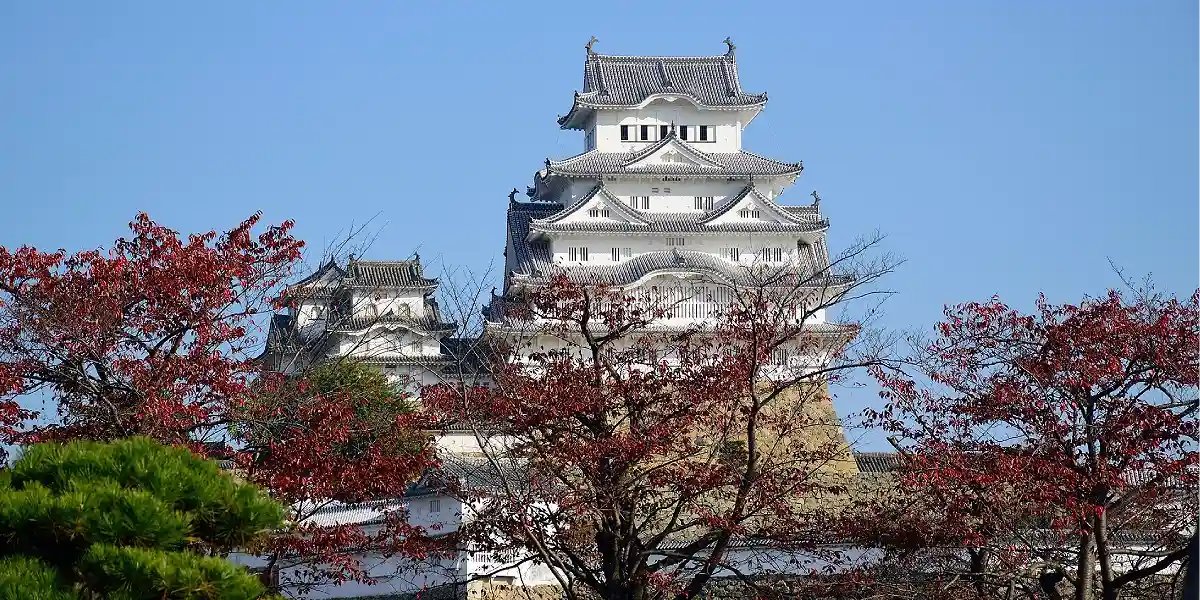 טיול מאורגן ליפן