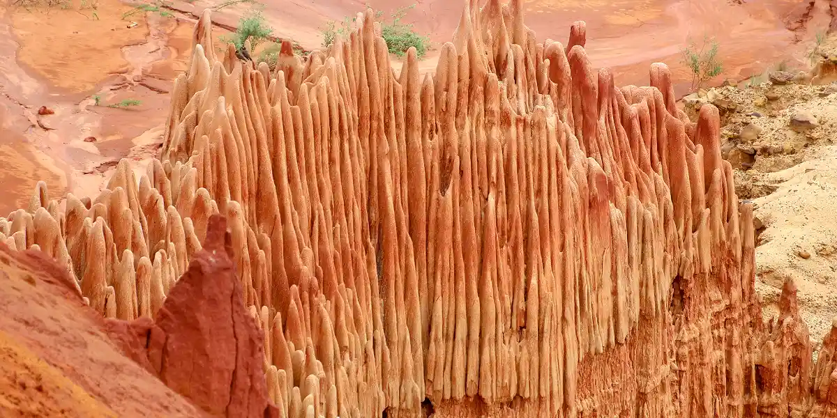 טיול מאורגן למדגסקר