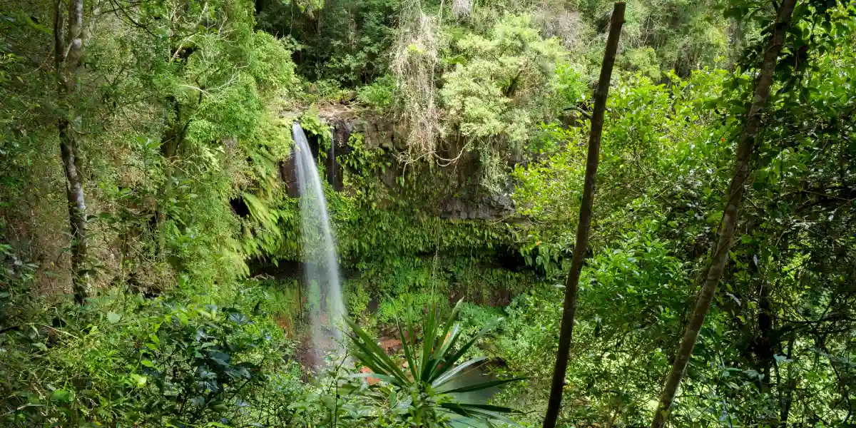 טיול מאורגן למדגסקר