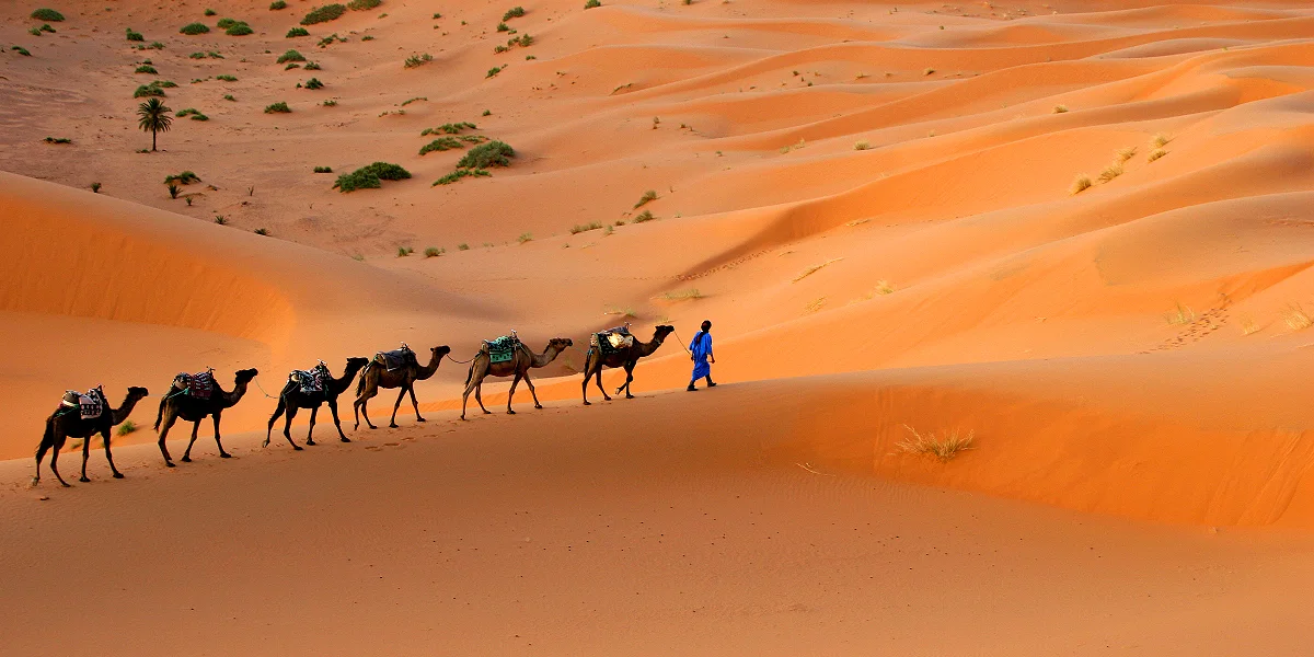 טיול למרוקו