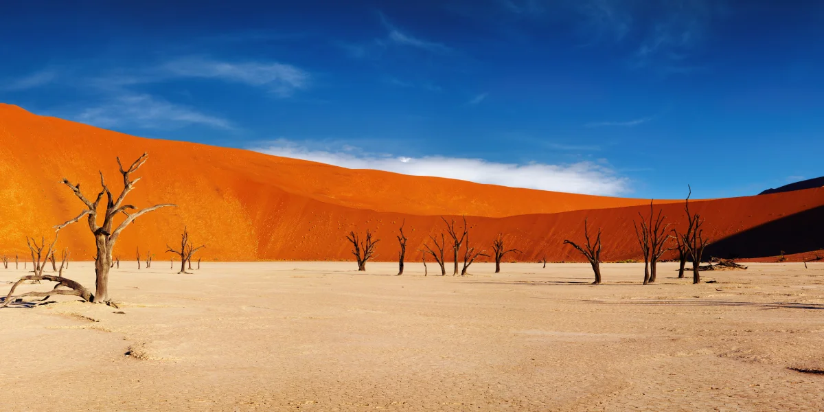 טיול ג'יפים לנמיביה