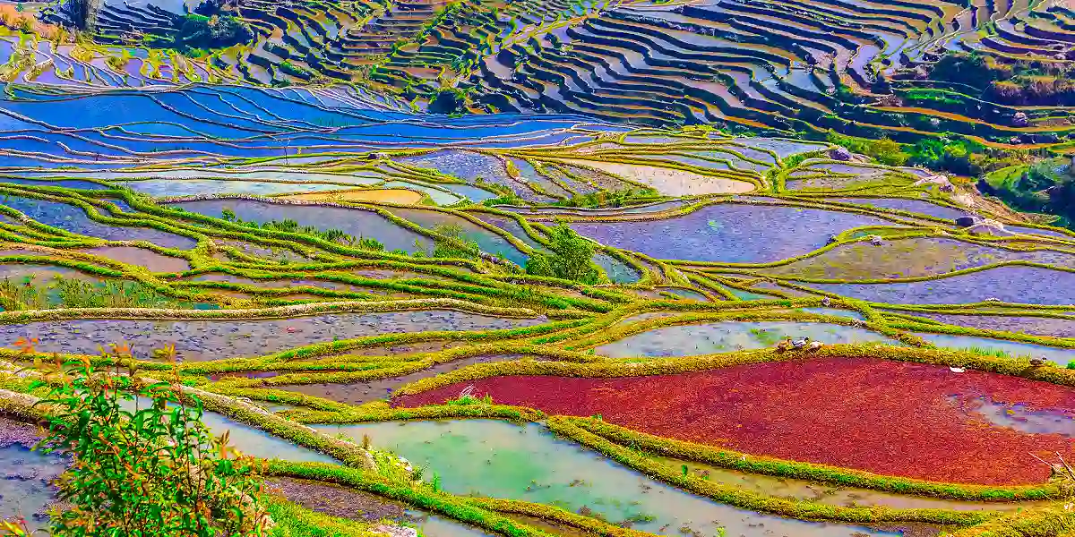 טיול מאורגן לסין
