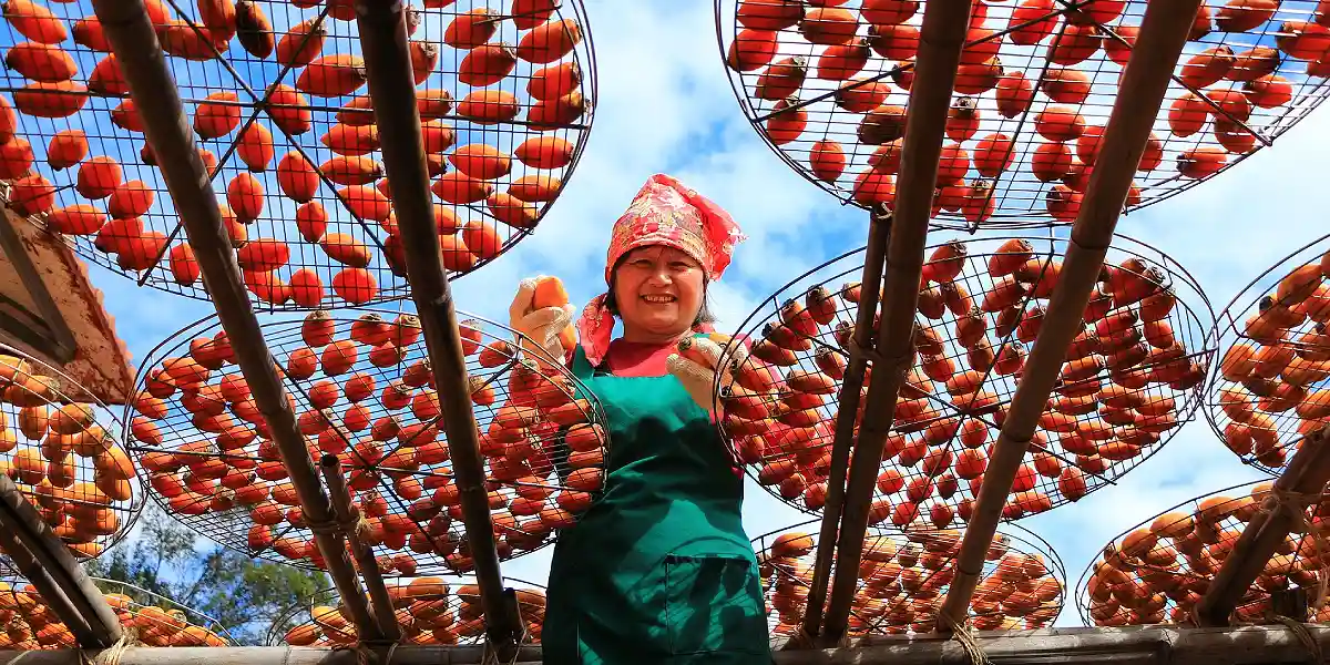 טיול מאורגן לטאיוון