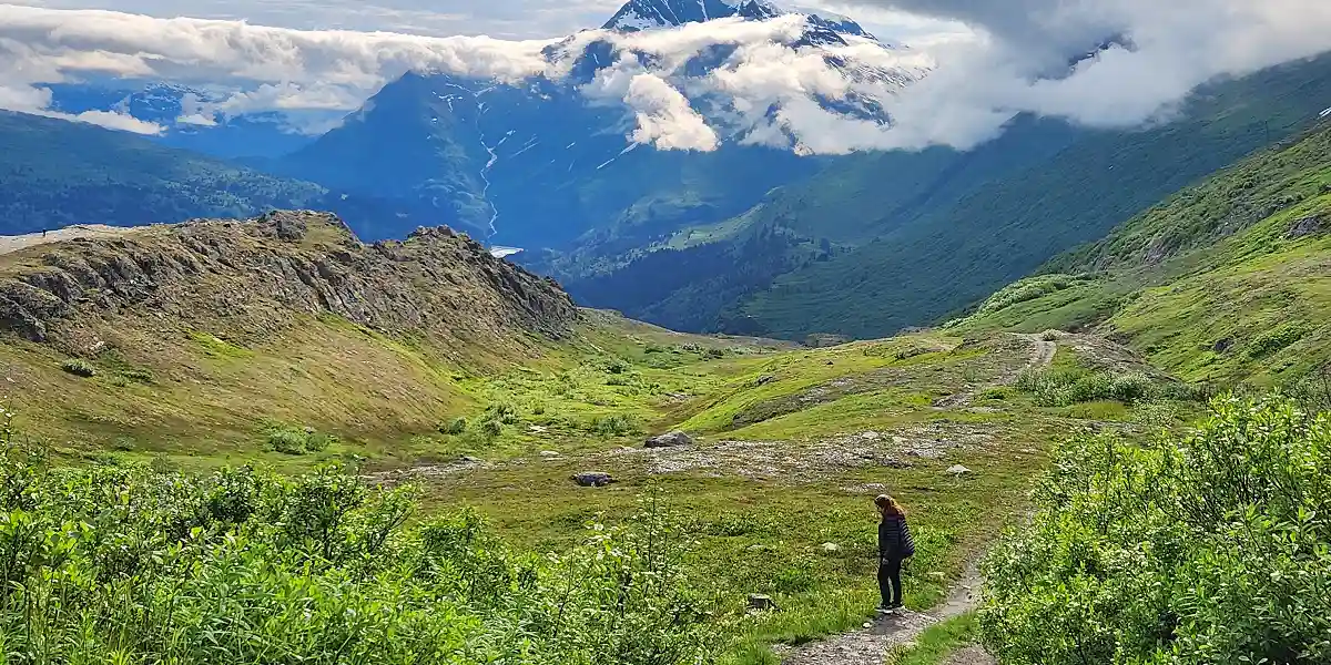 טיול מאורגן לאלסקה