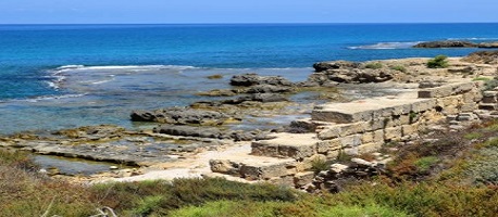 סיור אחה"צ בשמורת תל דור - מכוניות פרטיות